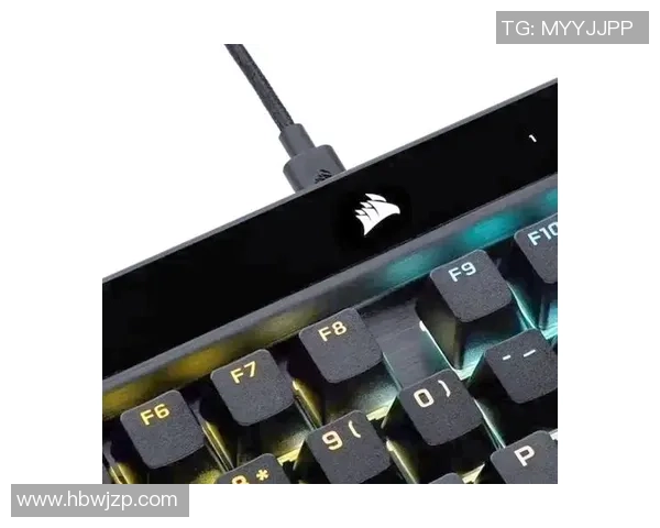 机械键盘轴体详解：不同轴体如何影响游戏体验与表现